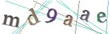 숫자5,영문자v,영문자a,영문자s,영문자r,숫자2